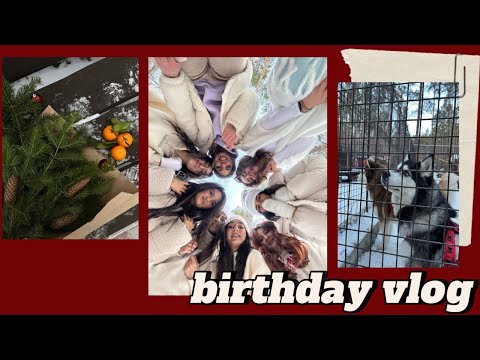 Видео: 🎉 День рождения в стиле ХаскиЛэнда | Зима в Сибири