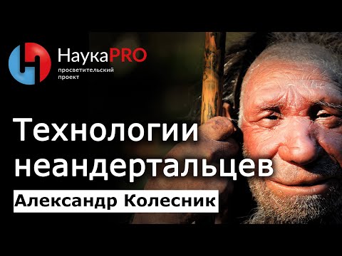 Видео: Технологии и бытовая культура неандертальцев – Александр Колесник | Лекции по археологии | Научпоп