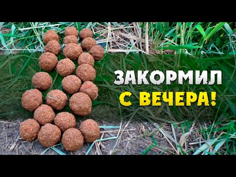 Видео: Что будет, если закормить рыбу с вечера, а ловить утром?! Рыбалка на карася.