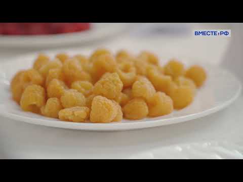 Видео: Мичуринск. Тамбовская область