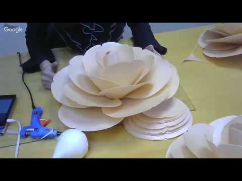 Видео: Камелия. Закрытая трансляция из мастерской