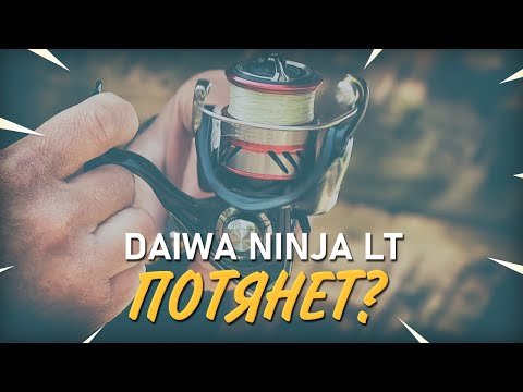 Видео: Обзор катушки Daiwa Ninja LT. СВ-снасти