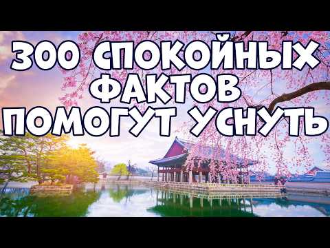 Видео: 300 СПОКОЙНЫХ ФАКТОВ, КОТОРЫЕ ПОМОГУТ УСНУТЬ