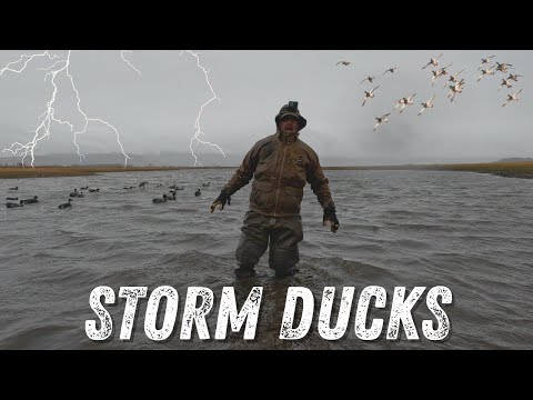 Видео: ПОЛНЫЙ ОГРАНИЧЕННЫЙ КОЛИЧЕСТВО УТОК И УЖАСНАЯ ПОГОДА В ГОРАХ