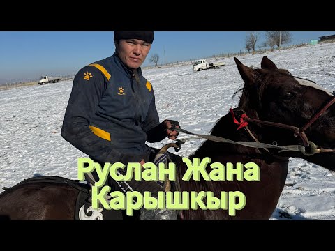 Видео: Руслан балбан Жана Карышкыр 17.12.24