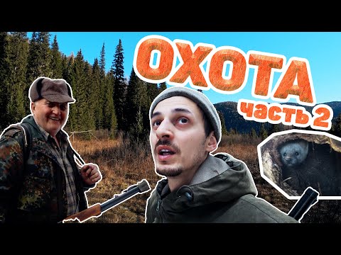 Видео: МЕСЯЦ В ТАЙГЕ: СОБОЛЬ