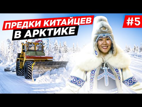Видео: КАК ДЕЛАЮТ ЗИМНИК, ДОРОГИ АРКТИКИ. КАК ЖИВУТ ЭВЕНКИ СЕВЕРНЫЕ НАРОДЫ. ПУТЕШЕСТВИЕ ПО ЯКУТИИ ЗИМОЙ. #5