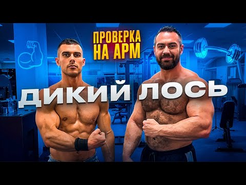 Видео: ДИКИЙ ЛОСЬ В АРМРЕСТЛИНГЕ | ЭЛЬДАР БУБЕНКО ПРОВЕРКА НА АРМ | Сильные руки за 4 упражнения