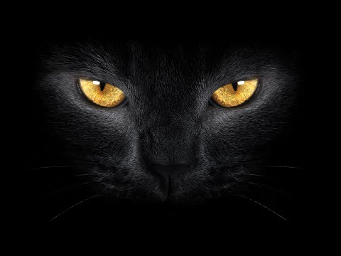 Видео: SnowRunner сила двигателя