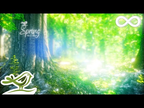 Видео: Spring • Красивая расслабляющая музыка с флейтой, виолончелью, гитарой и фортепиано