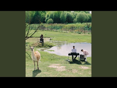 Видео: Лето прием acoustic version