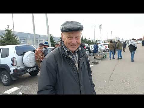 Видео: #Птичий рынок #Ярмарка #ЗОО рынок. Ставрополь - 17.11.2024.