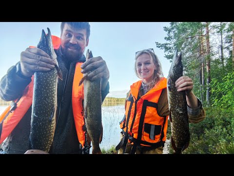 Видео: Крайний выезд на рыбу по воде в Карельской республике. Кимасозеро, озеро Нюк
