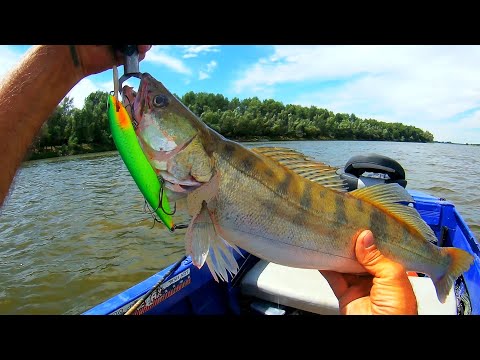 Видео: ИДУ ВНИЗ ПО ТЕЧЕНИЮ
