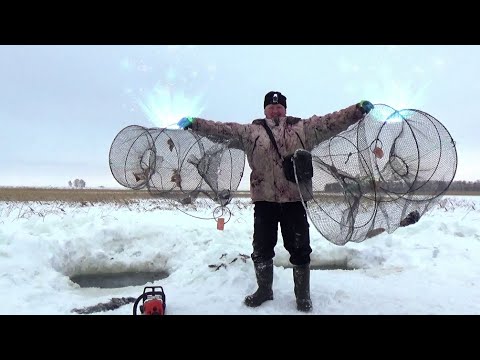 Видео: Рыбалка на морды. Попробовали головы у ратанов. Нам очень понравилось.