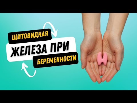 Видео: ЩИТОВИДНАЯ ЖЕЛЕЗА И БЕРЕМЕННОСТЬ #olenaberezovska #doctorberezovska #беременность #щитовиднаяжелеза