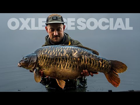 Видео: Мы не могли поверить, что это карп! | Благотворительная организация Parker Baits Oxlease