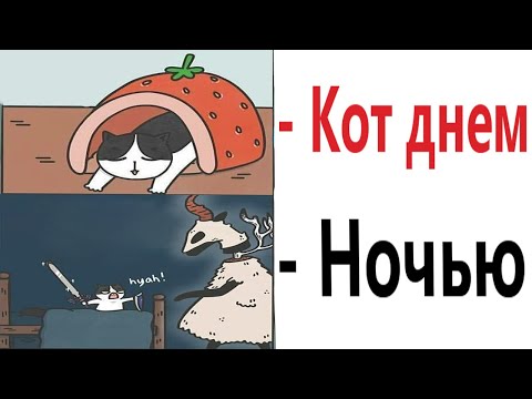 Видео: Доми шоу: МОЙ КОТ ПРОТИВ ДЕМОНОВ! Самые смешные истории! Мемы анимация!