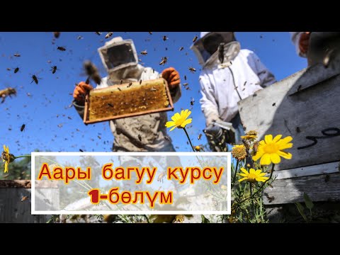 Видео: Аарычылыка киришүү.