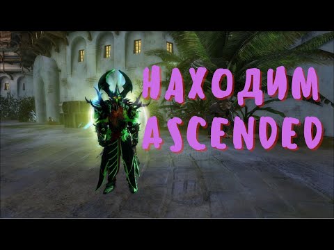 Видео: Где достать лучшую экипировку в PVE?