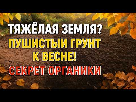 Видео: 🥗Как Легко Разрыхлить Глинистую Почву и Улучшить Урожай за Зиму