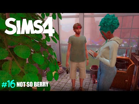 Видео: Not So Berry 16 серия #sims #sims4 #симс4 #симс4челлендж