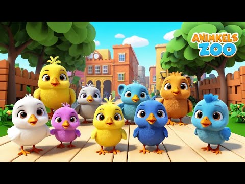 Видео: Маленькие цыплята посещают городской зооп