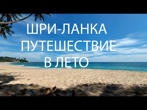 Видео: ШРИ-ЛАНКА путешествие в лето. Жаркие пляжи острова , какие здесь плавают черепашки?