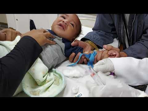 Видео: Ryan. Blood collection. Coleta de sangue. جمع الدم . Сбор крови. جمع آوری خون