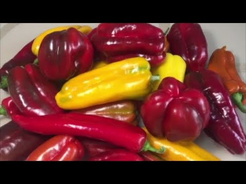 Видео: Перцы   хиты продаж! Самые вкусные и урожайные . 24 наименования!