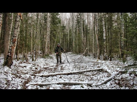 Видео: Камрад подсказал, где покопать #453