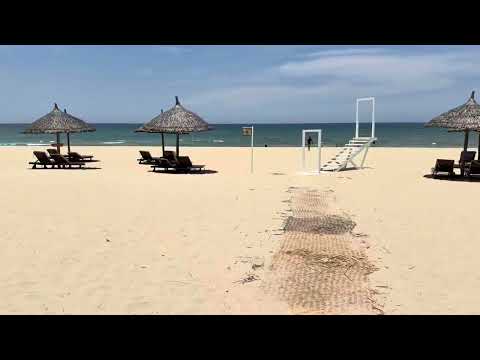 Видео: Вьетнам: пальмы и море🌴🏖️