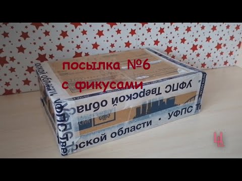 Видео: распаковка посылки № 6 с фикусами | фикусы почтой | пополнение коллекции