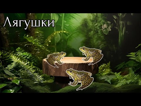 Видео: Фарм лягушка / Клязьма  / Русская рыбалка 3