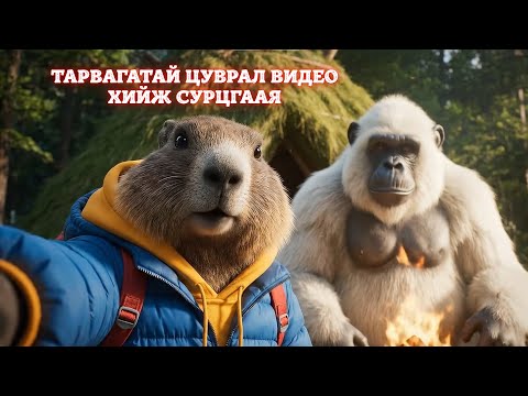 Видео: VEO3 БҮРТГҮҮЛЭХ ЗААВАР | САРЫН 0$