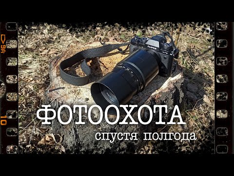 Видео: Фотоохота спустя полгода