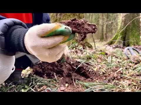 Видео: Поиск кладов
