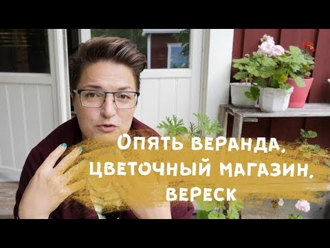 Видео: Уютный влог - едем в цветочный магазин. Моя коллекция чая.