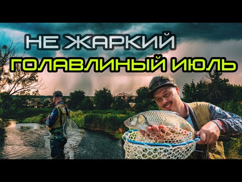 Видео: НЕ жаркий ГОЛАВЛИНЫЙ июль 2022, день D-3 Custom Fukuzemi, ловля летнего ГОЛАВЛЯ на любимой реке.
