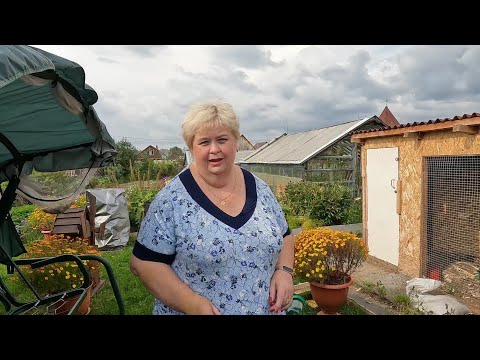 Видео: На старом месте курочки нас радуют больше. Дачные дела (начинаем всё убирать.)