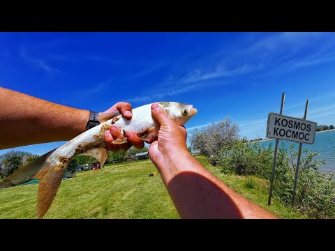 Видео: ВОТ ПОЧЕМУ ТУДА ЕЗДЯТ! РЫБАЛКА НА ОКТЯБРЬСКОМ-3