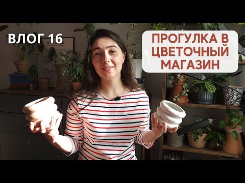 Видео: ЦВЕТОЧНЫЙ МАГАЗИН "Весна" / Весенний ПЕТЕРБУРГ / Обзор новых ГОРШКОВ ДЛЯ РАСТЕНИЙ