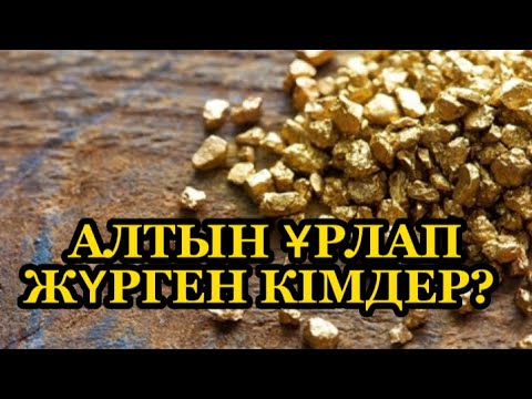 Видео: Алтын ұрлап жүрген кімдер? Жыландар қайда кетті?