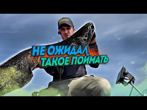 Видео: Такого я еще не ловил! Рыбалка на Чебоксарском водохранилище