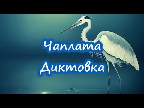 Видео: Чаплата - Диктовка (4 клас)