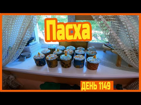 Видео: Ночью был мороз. Всё помёрзло. Пасха. — день 1149.