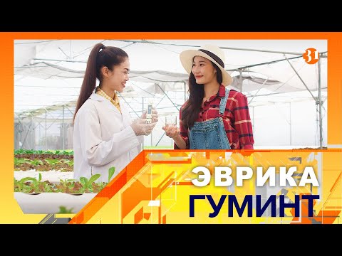 Видео: ЭВРИКА. ГУМИНТ 6 серия