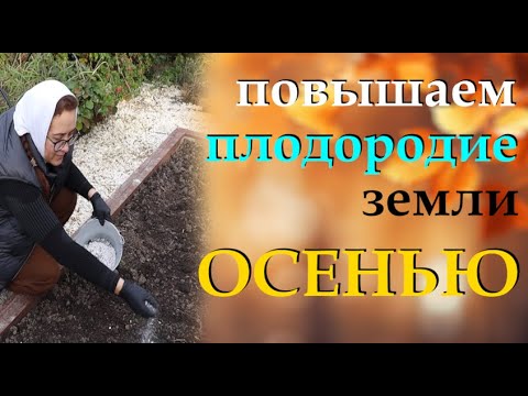 Видео: Как повысить плодородие почвы на огороде осенью  Проверенный способ от агронома