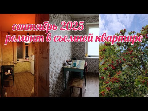Видео: Осенний влог// покупки// ремонт в кухне за выходные