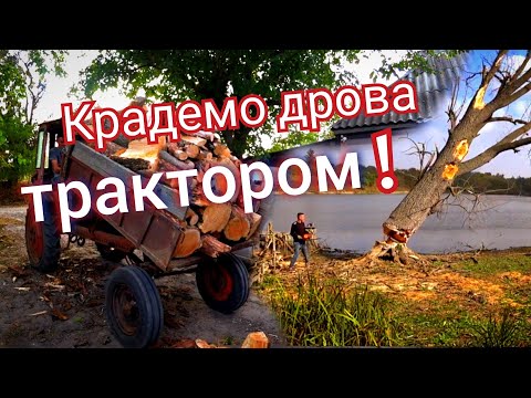 Видео: Зимою буде ТЕПЛО❄️ По дрова ТРАКТОРОМ Т-16🚜 НЕВДАЛО звалили дерево❗